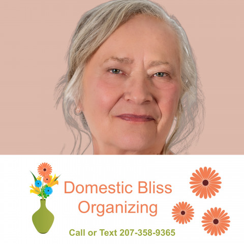 Visit Domestic Bliss Organizing